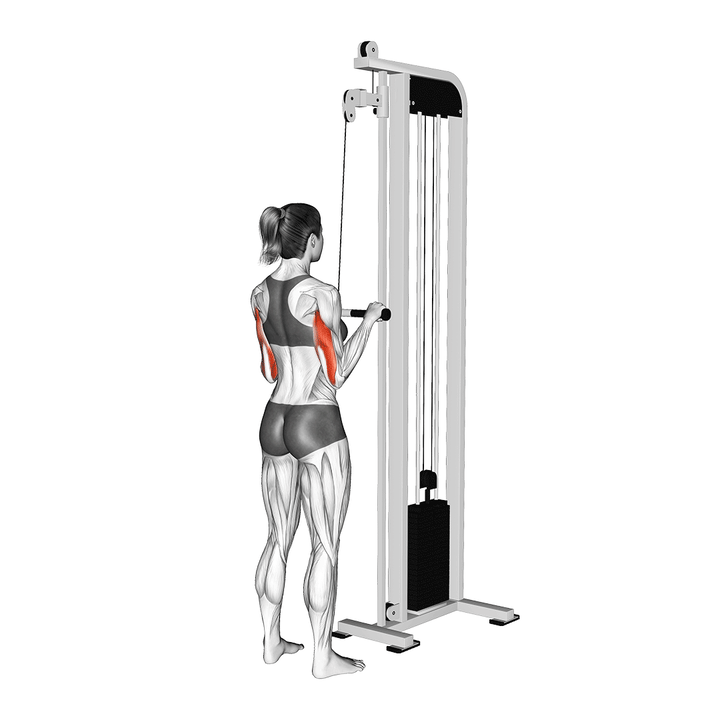 Animatie van de triceps pushdown, uitgevoerd door een vrouw
