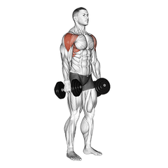 Lateral raise