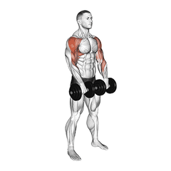Met dumbbells