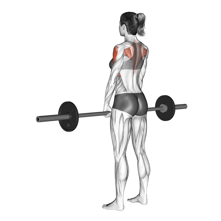 Animatie van de upright row, uitgevoerd door een vrouw