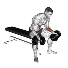 Met dumbbell