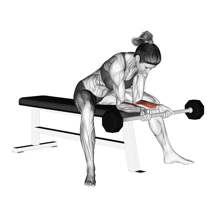 Animatie van de wrist curl, uitgevoerd door een vrouw