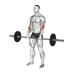 Reverse curl