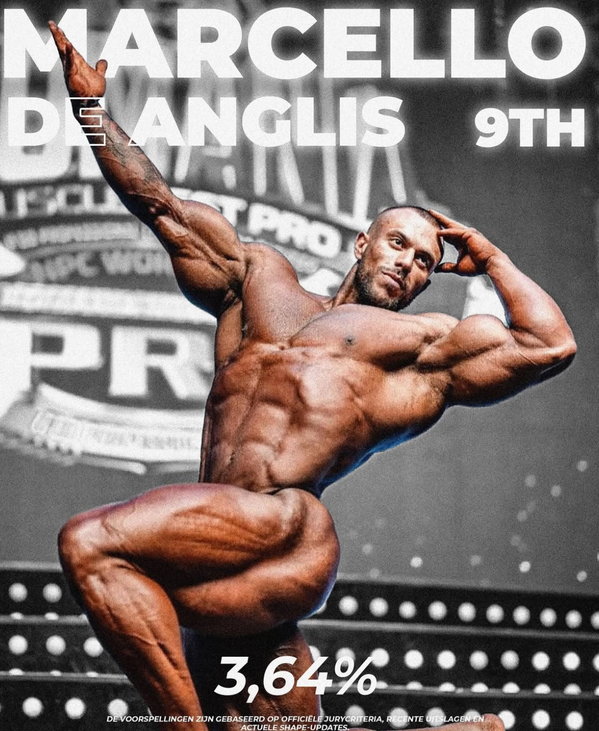 Marcello Horse 3,64%