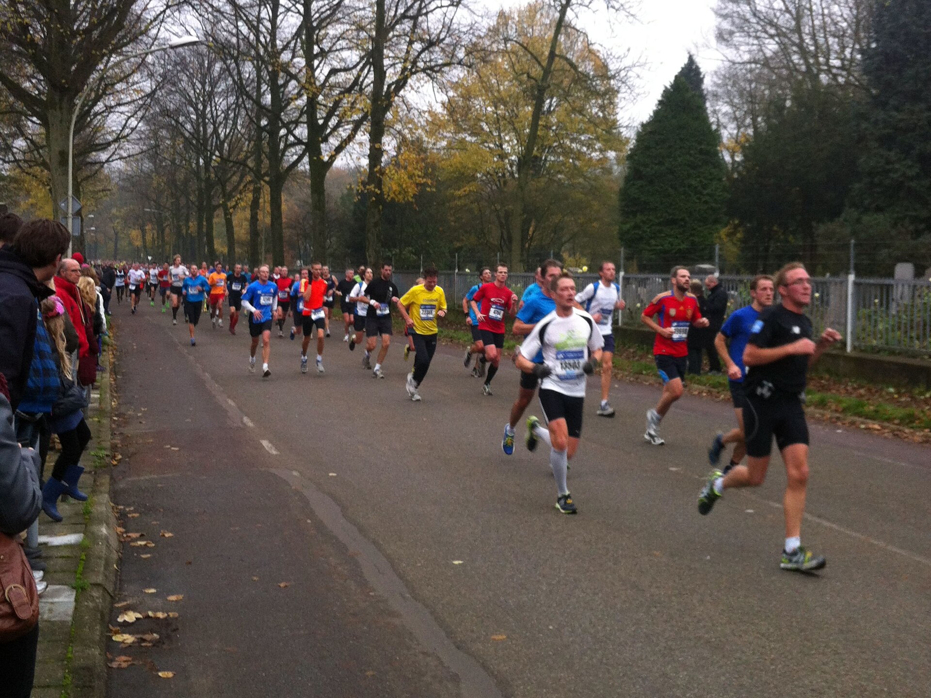 Lopers tijdens de Zevenheuvelenloop in Nijmegen, met herfstbomen langs de weg